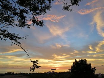 Low angle view of silhouette trees against sky during sunset