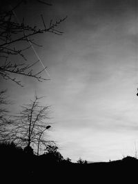 Low angle view of silhouette trees against sky at sunset