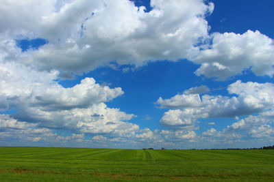 Scenic view of field against sky