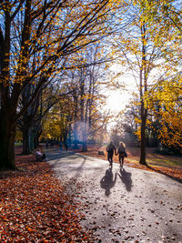 Couple walking hand in hand along a late autumn sunlight dappled path