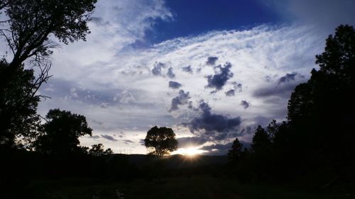 Silhouette trees in forest against sky during sunset