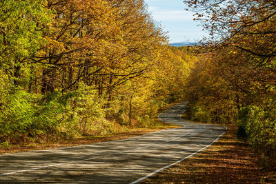 Road amidst trees during autumn