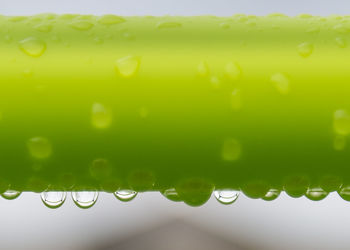 Close-up of water drops on leaf