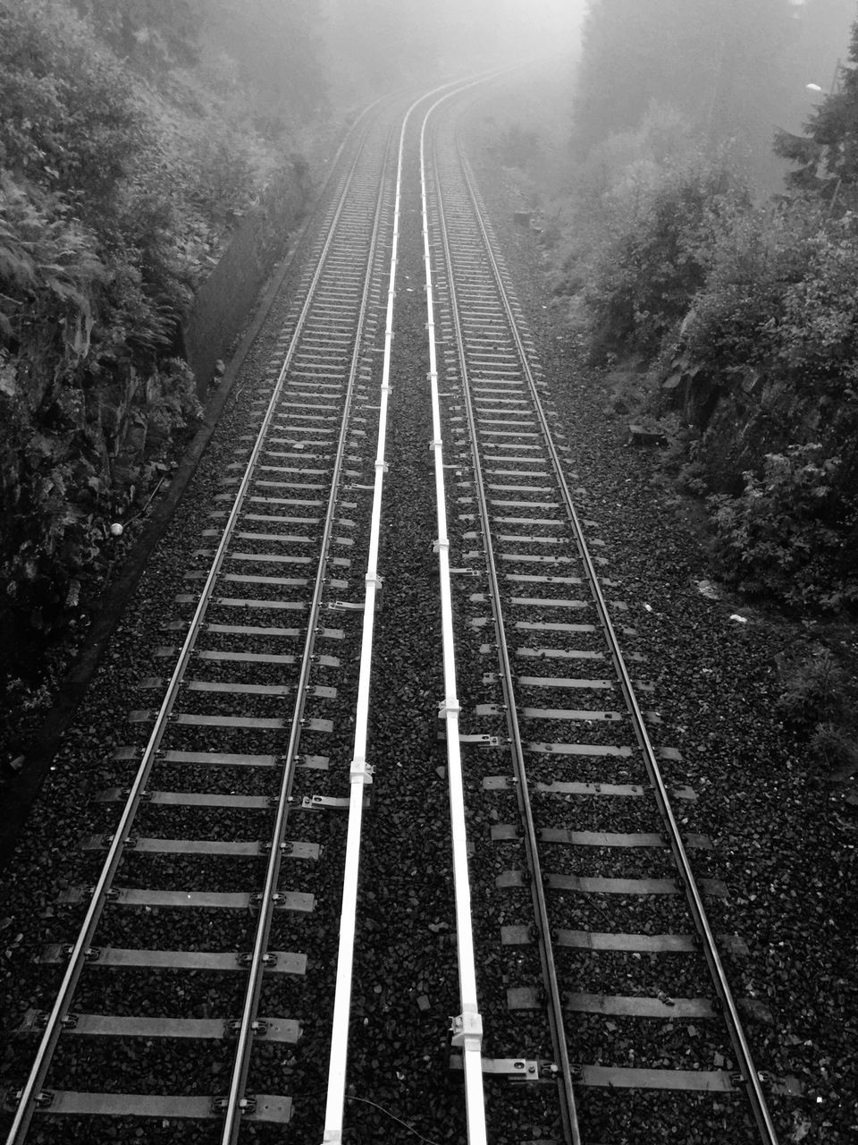 railroad track, the way forward, transportation, rail transportation, diminishing perspective, vanishing point, tree, railway track, high angle view, connection, public transportation, straight, forest, day, nature, tranquility, no people, outdoors, travel, landscape