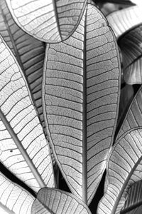 Full frame shot of ceiling