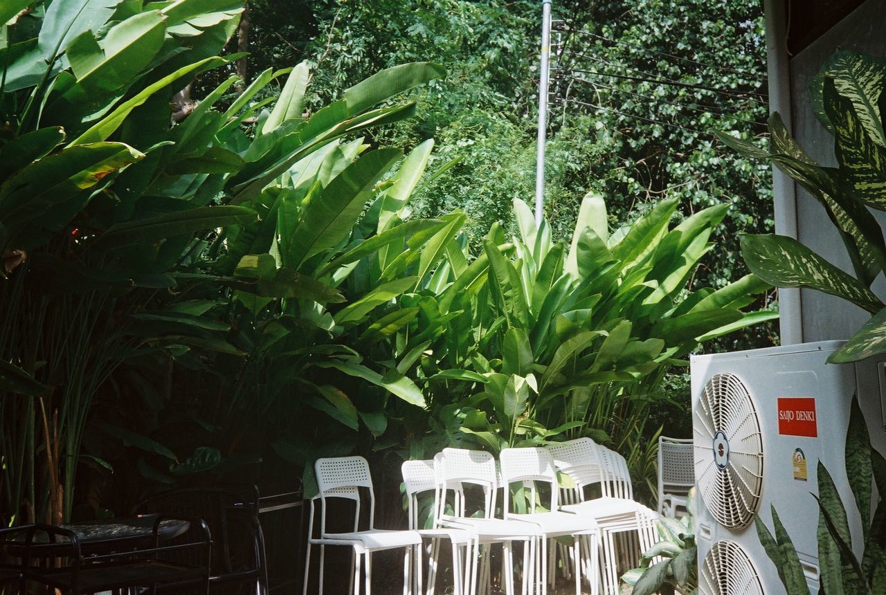 EMPTY CHAIRS AND TABLE IN YARD