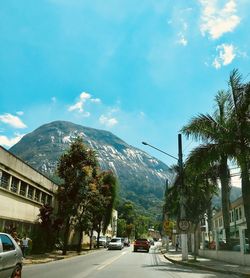 Cars on road by trees against sky