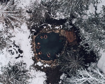 High angle view of people in hot spring at forest