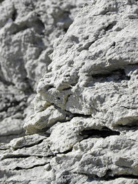 Close-up of sculpture on rock