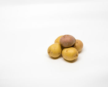 Close-up of oranges against white background