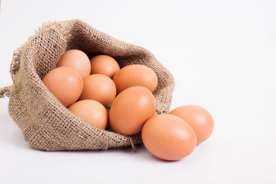Close-up of eggs against white background