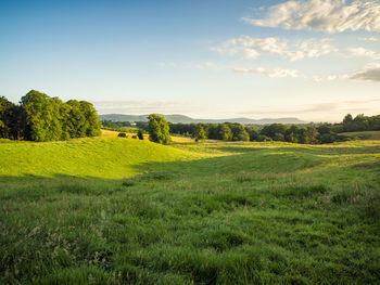 Scenic view of golf course against sky