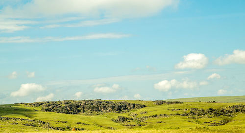 Scenic view of field against sky