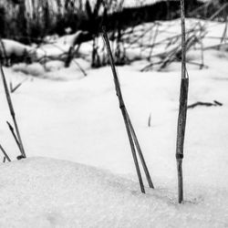 Close-up of snow covered land on field