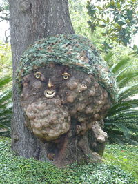 Close-up of iguana on tree trunk