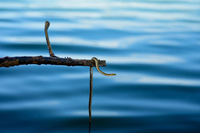 Close-up of rope tied on wood against lake