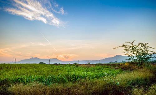 Scenic view of field against sky during sunset