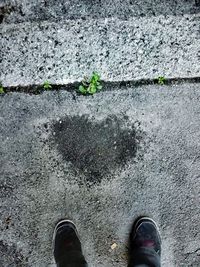 Low section of man standing on ground