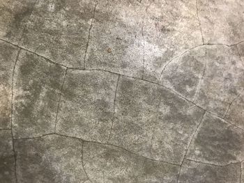 Full frame shot of tiled floor