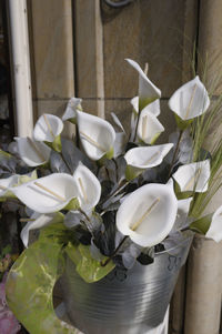 Close-up of white flowers in vase