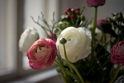 Close-up of red roses