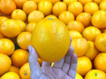 Full frame shot of oranges