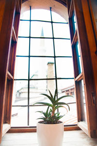 Close-up of window sill at home