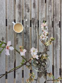 Close-up of flower blooming on wooden plant