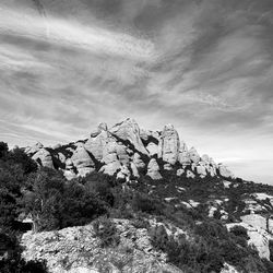 Tree on rock formation against sky
