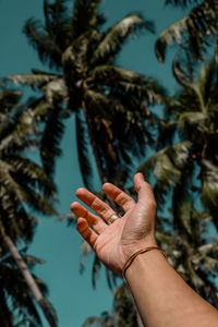 Low angle view of cropped hand gesturing against palm tree