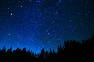 Low angle view of silhouette trees against star field at night