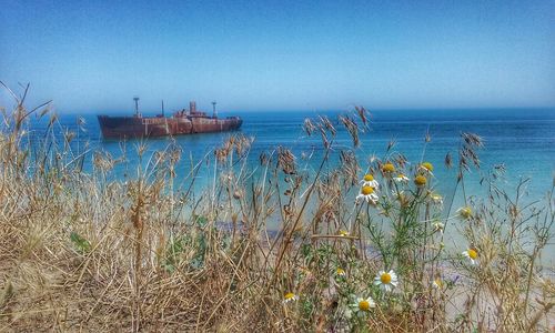 Scenic view of sea against clear sky