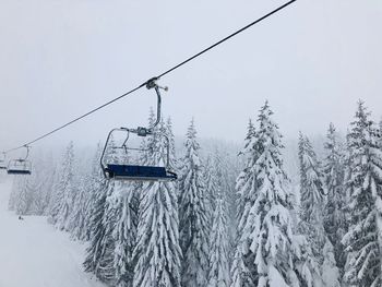 Empty ski lift over forest of evergreen trees