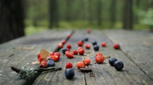 Close-up of red fruit