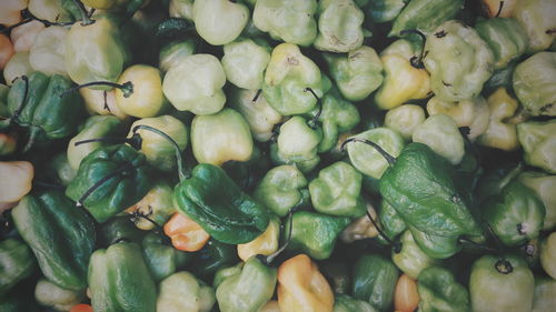 Full frame shot of habaneros