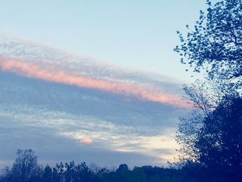 Low angle view of silhouette trees against sky