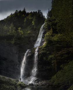 Scenic view of waterfall in forest