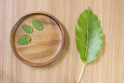 Directly above shot of green leaves on table