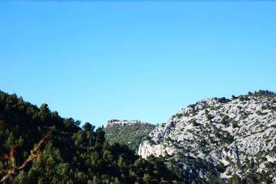 Low angle view of trees against clear blue sky