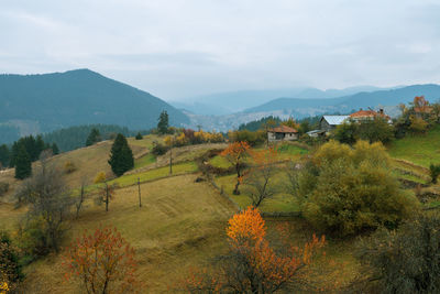 Autumn landscape. misty sunrise in rodopi, bulgaria.