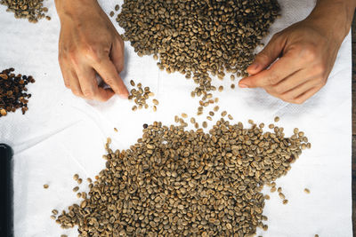 High angle view of person preparing food