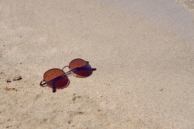 High angle view of butterfly on sand