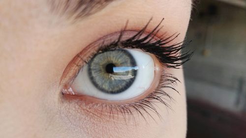 Close-up portrait of woman eye