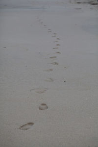 View of beach