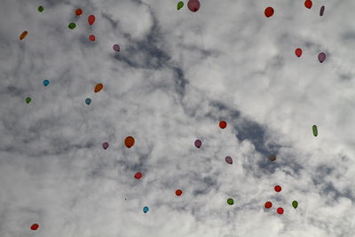 Close-up of multi colored objects