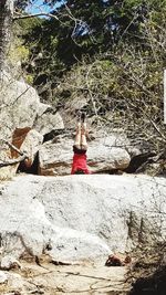 Fire hydrant against trees