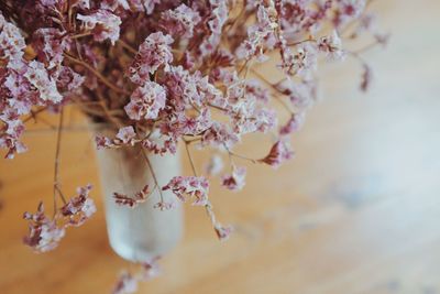 Close-up of pink cherry blossom tree