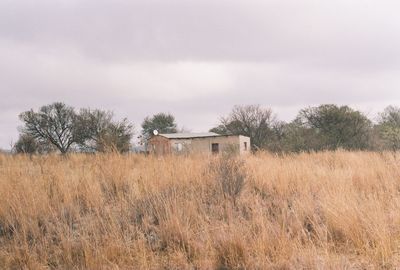 Abandoned house on field against sky