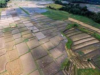 High angle view of footpath amidst field