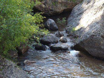 Scenic view of waterfall in forest